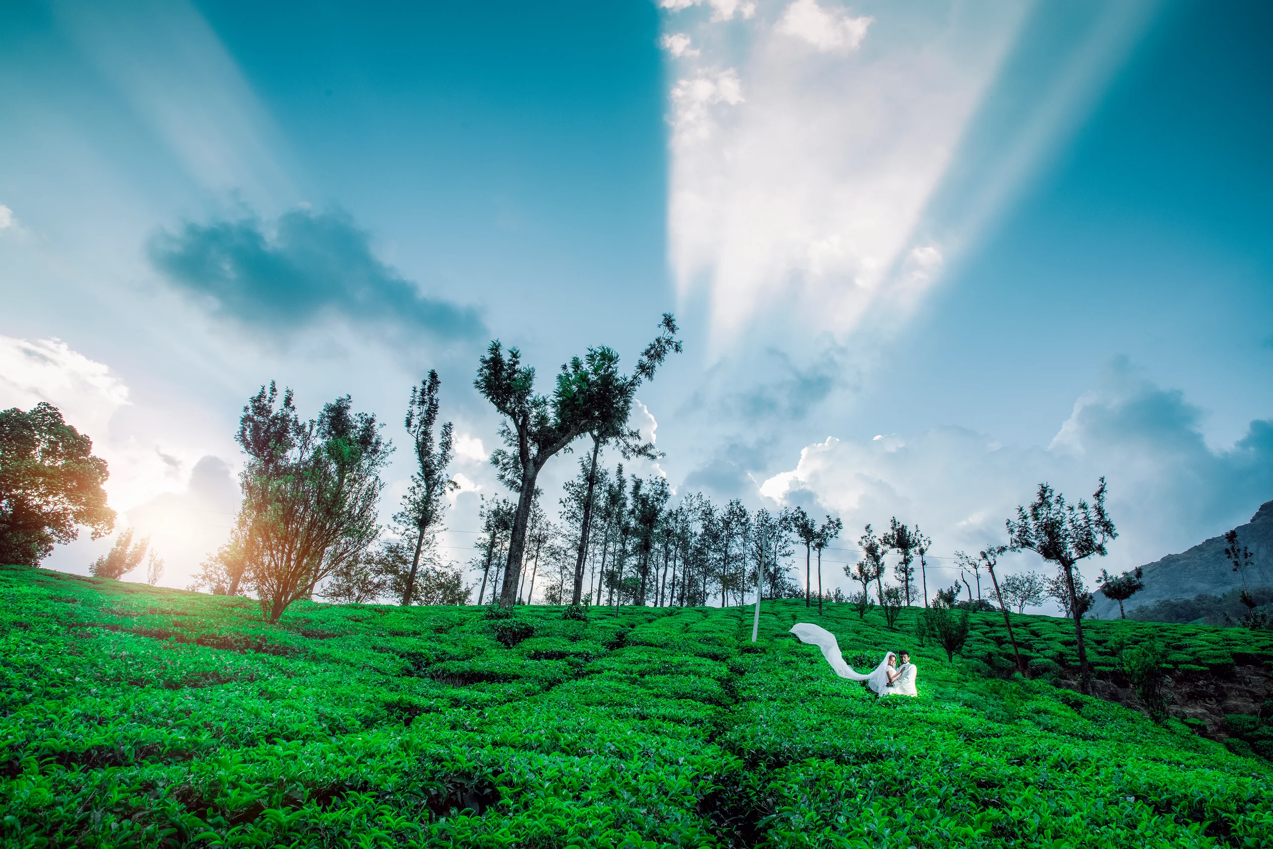 Wedding Cinematic Story 63